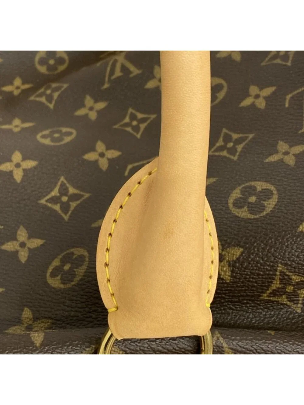 Louis Vuitton Pet Carrier Monogram Sac Brown